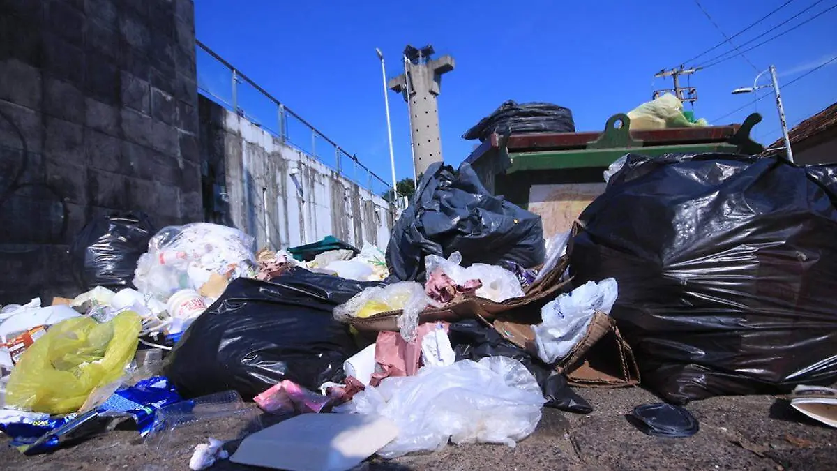 Basura1 copia